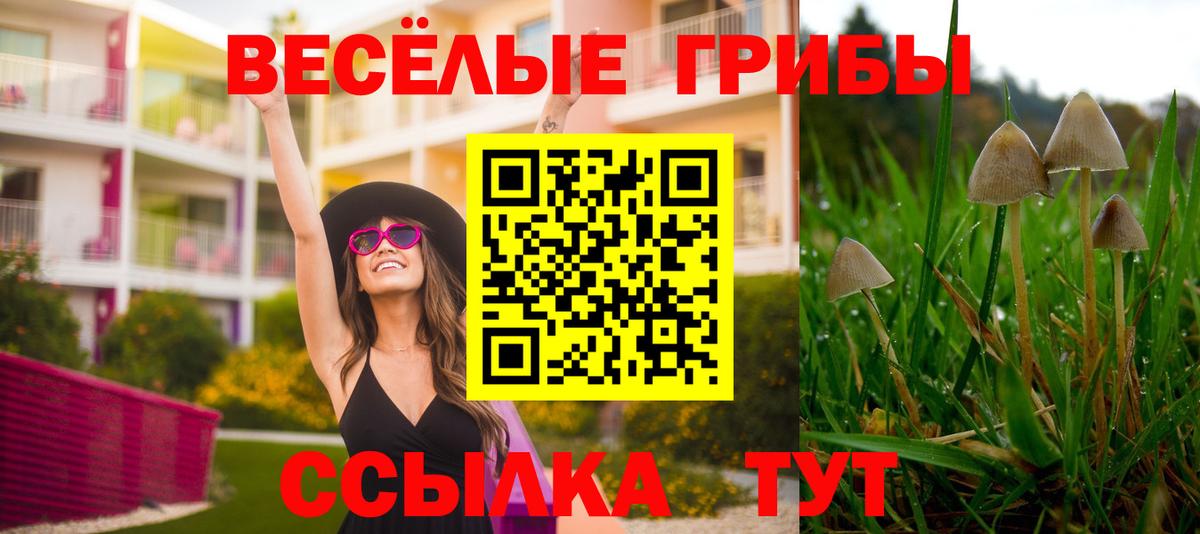 Галлюциногенные грибы Psilocybine cubensis Балашиха