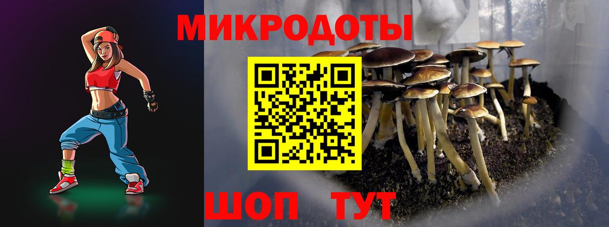 ГАШ Балашиха